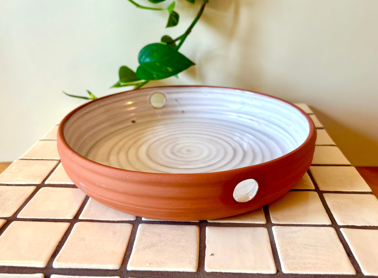Seed Starting Tray: 8-Piece Terra Cotta Propagation Station