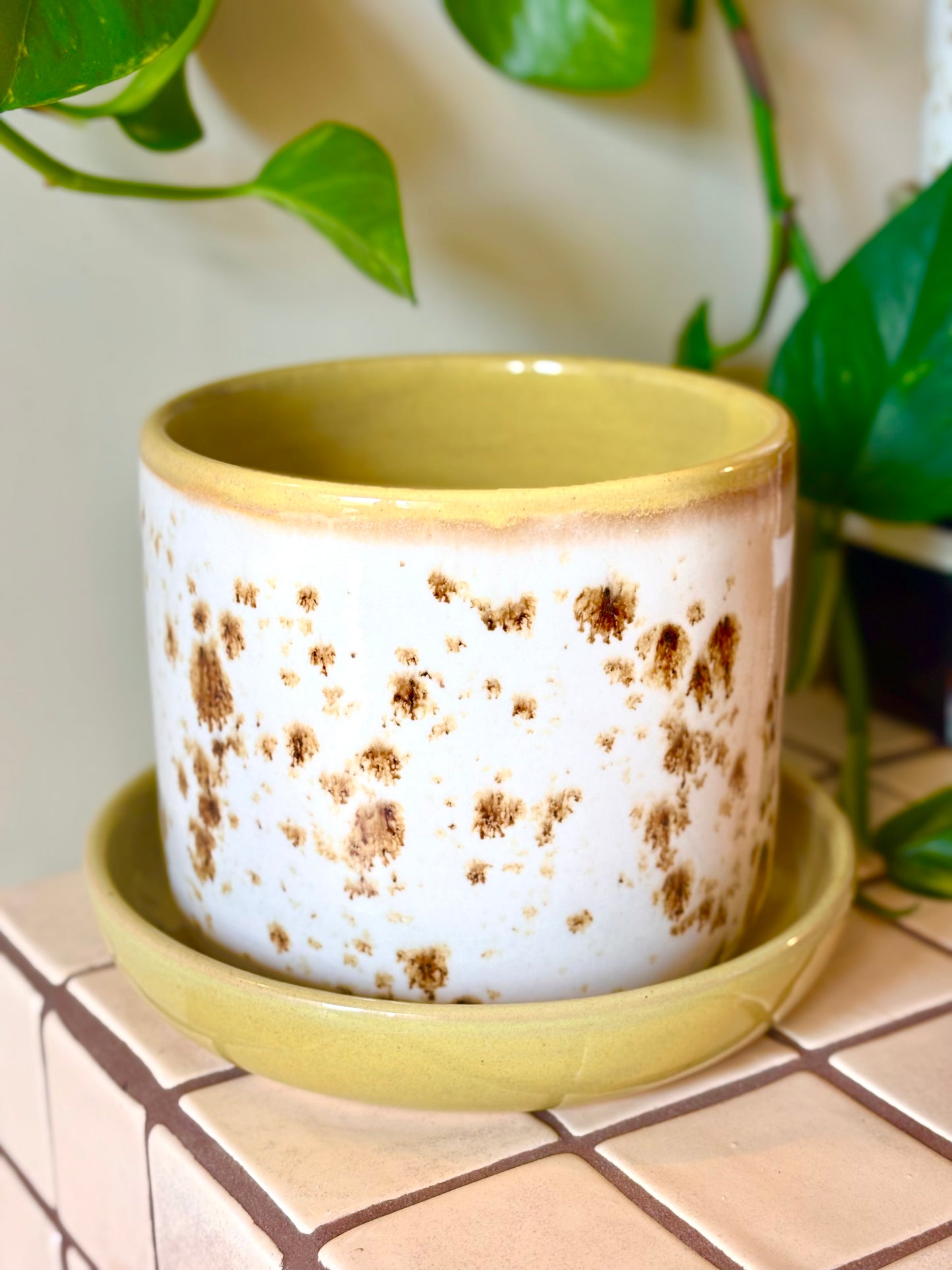 Speckled 5 in. Planter with Drip Plate - Appaloosa Collection