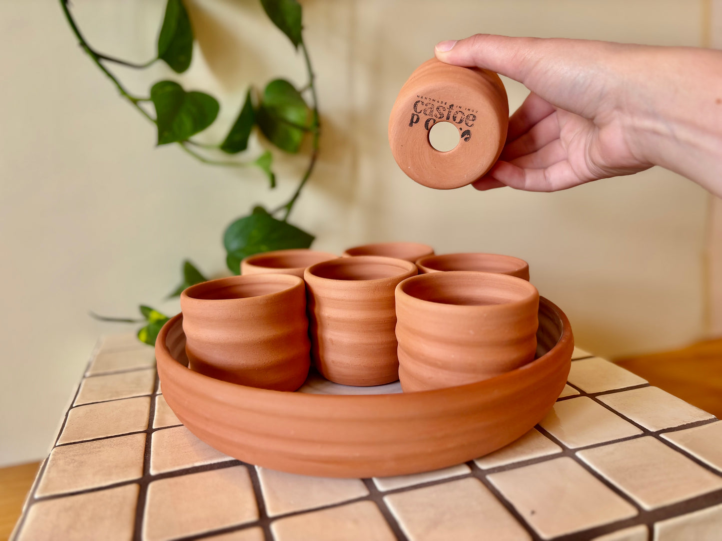 Seed Starting Tray: 8-Piece Terra Cotta Propagation Station