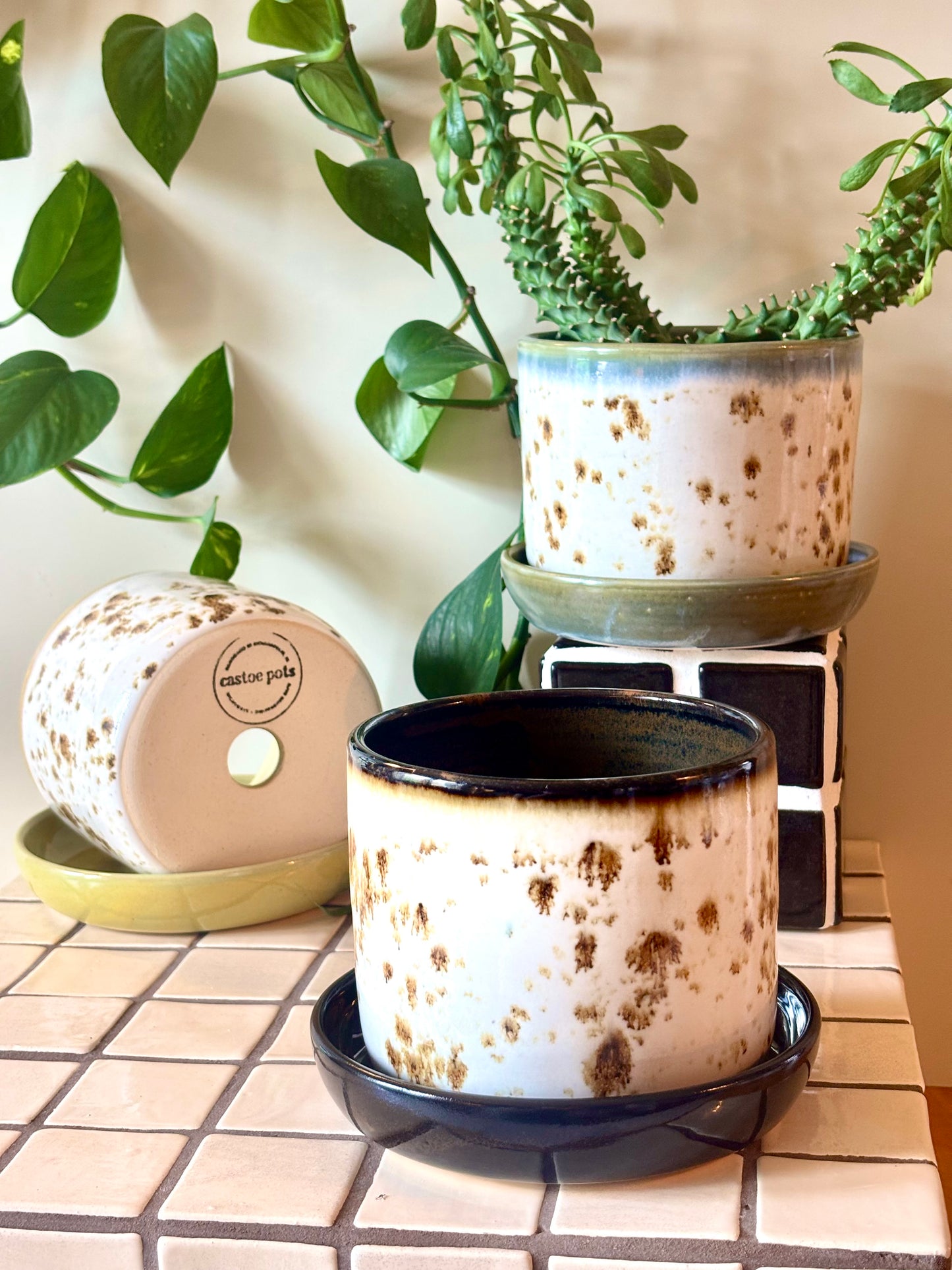 Speckled 5 in. Planter with Drip Plate - Appaloosa Collection