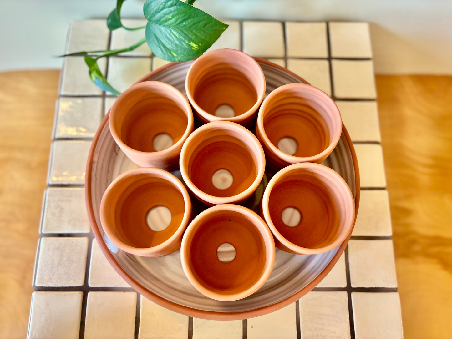 Seed Starting Tray: 8-Piece Terra Cotta Propagation Station