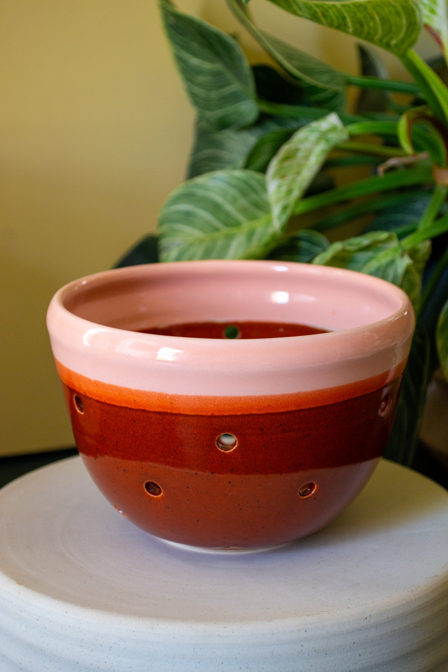 Berry Bowl
