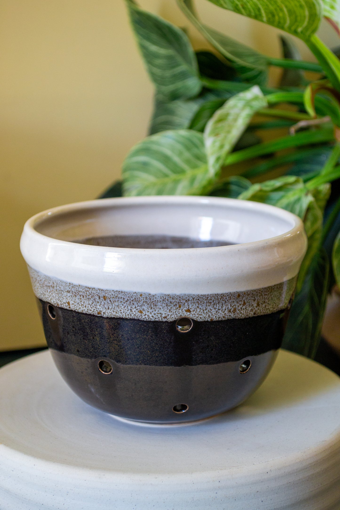 Berry Bowl