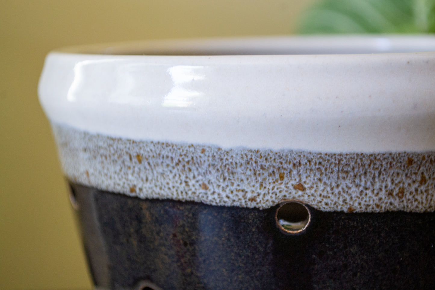 Berry Bowl