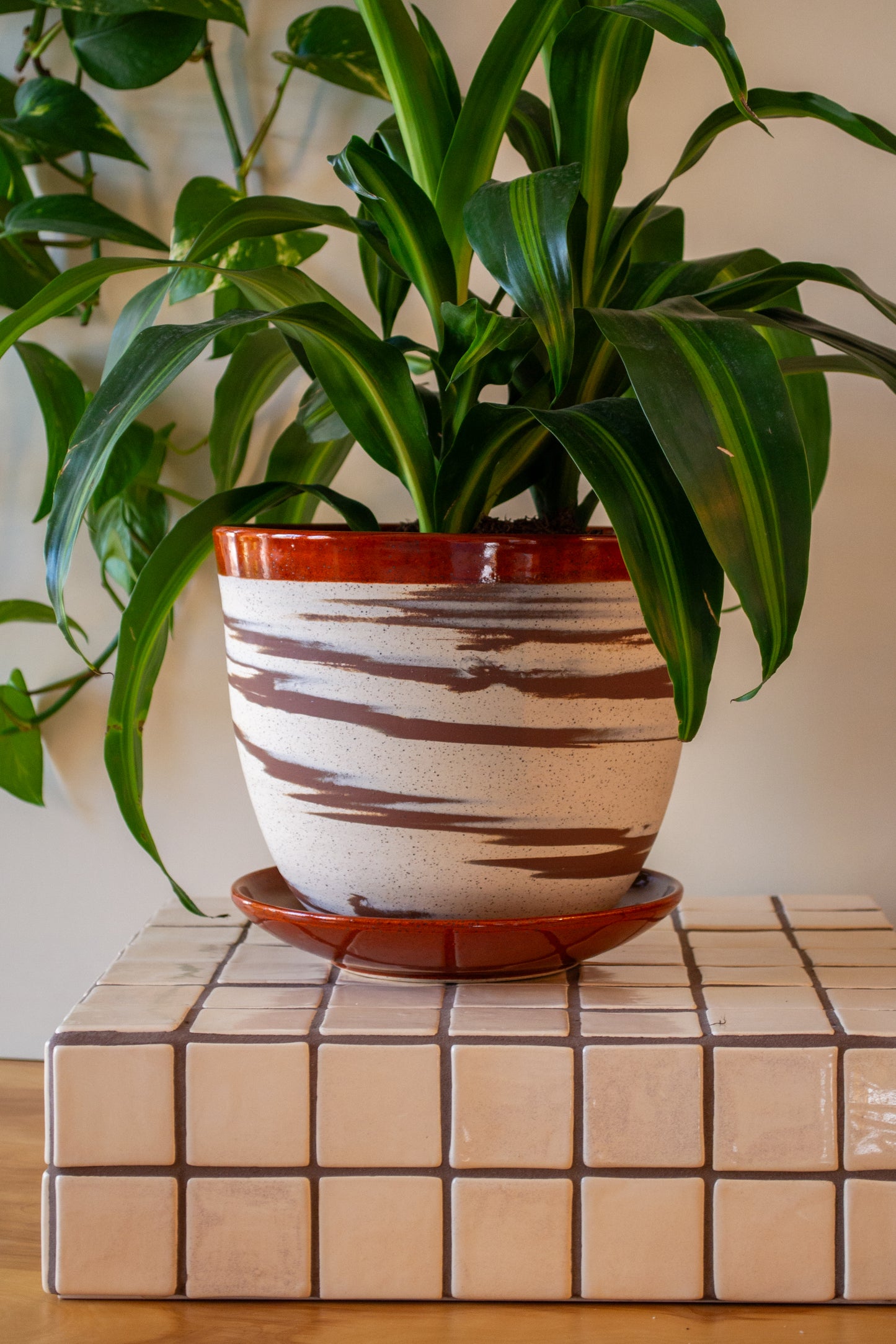 Planter with Drip Plate | 8 in. Diameter | Marbled/Rust