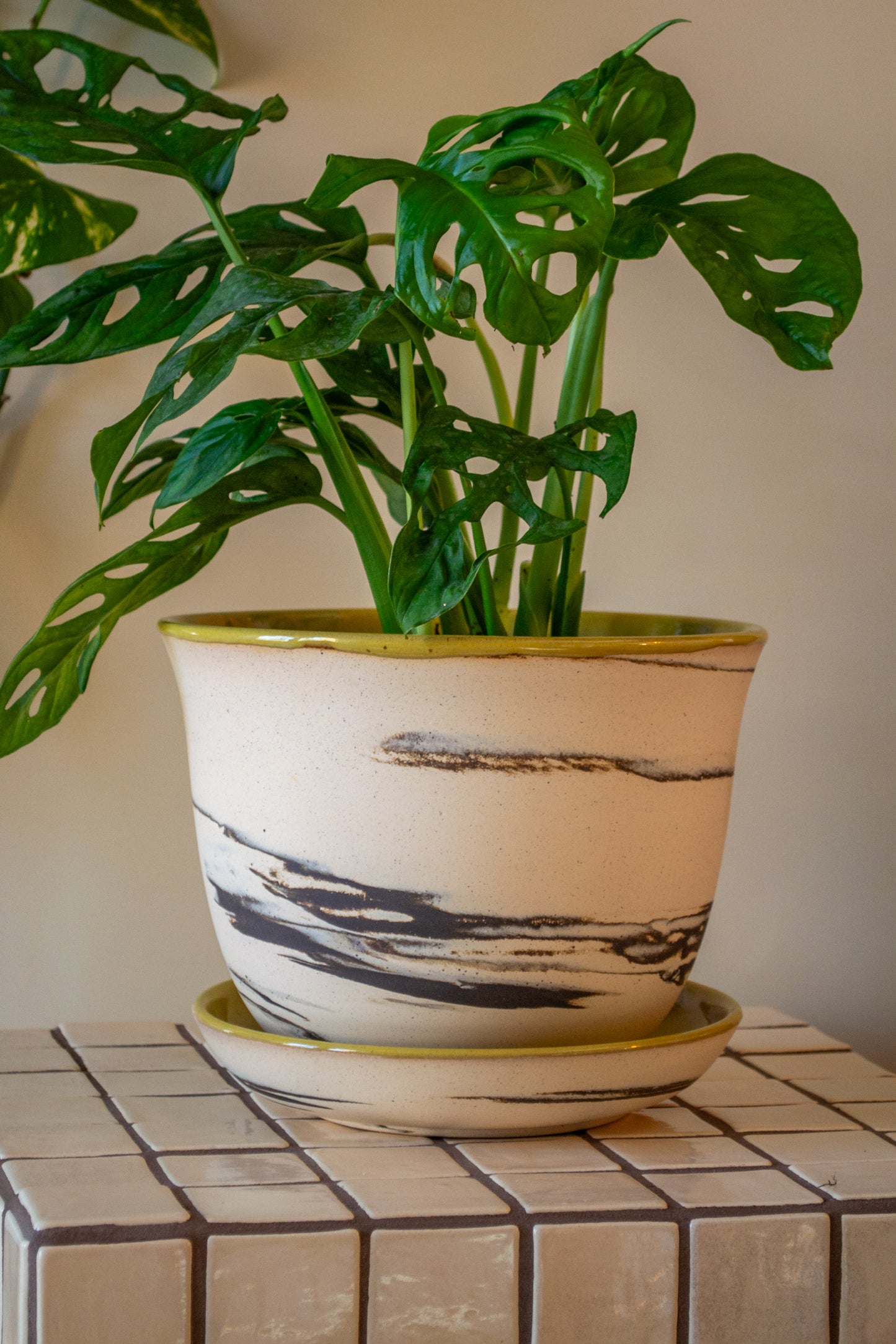 Planter with Drip Plate | 8 in. Diameter | Marbled/Pear | Zebra Collection