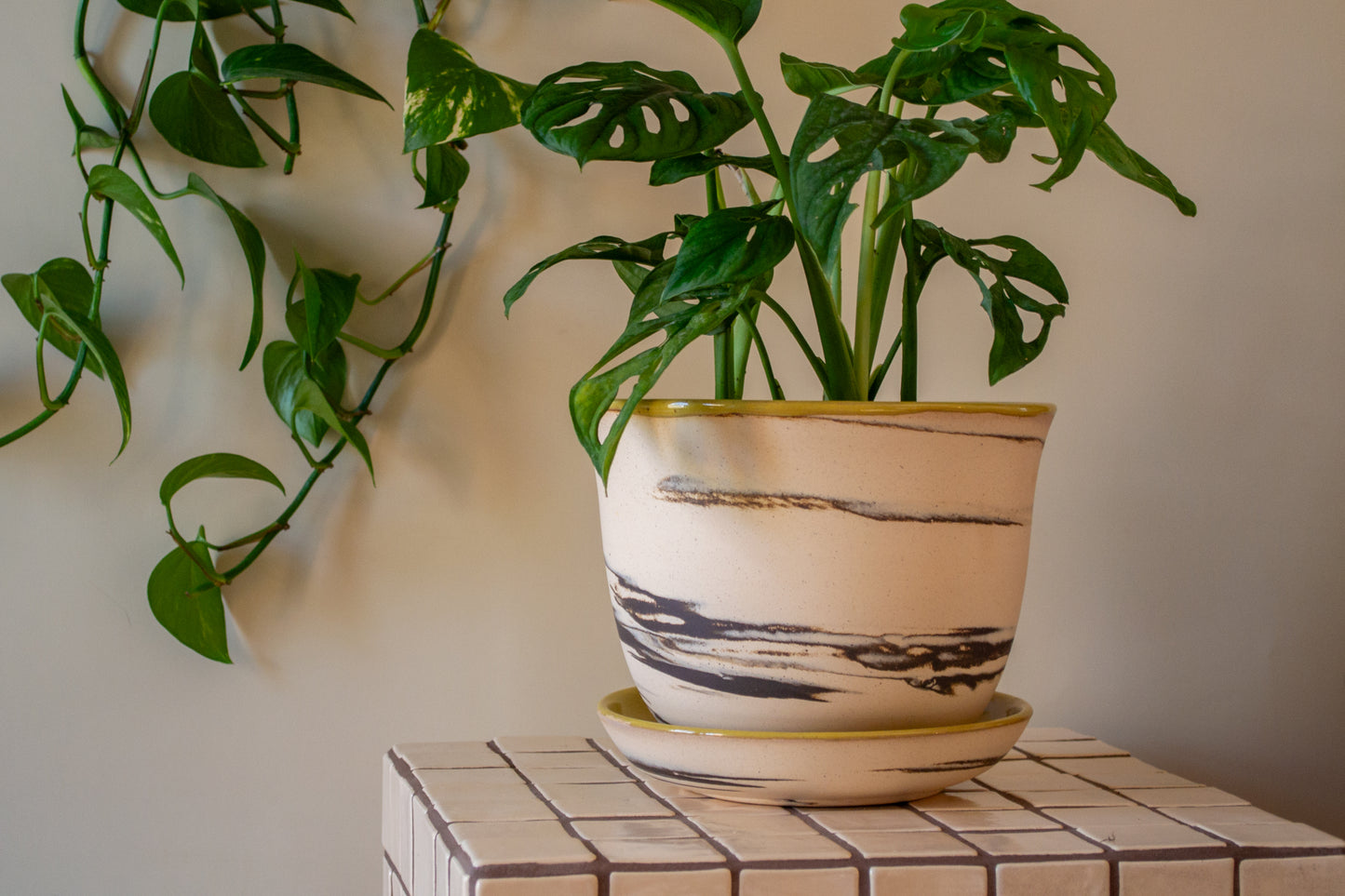Planter with Drip Plate | 8 in. Diameter | Marbled/Pear | Zebra Collection
