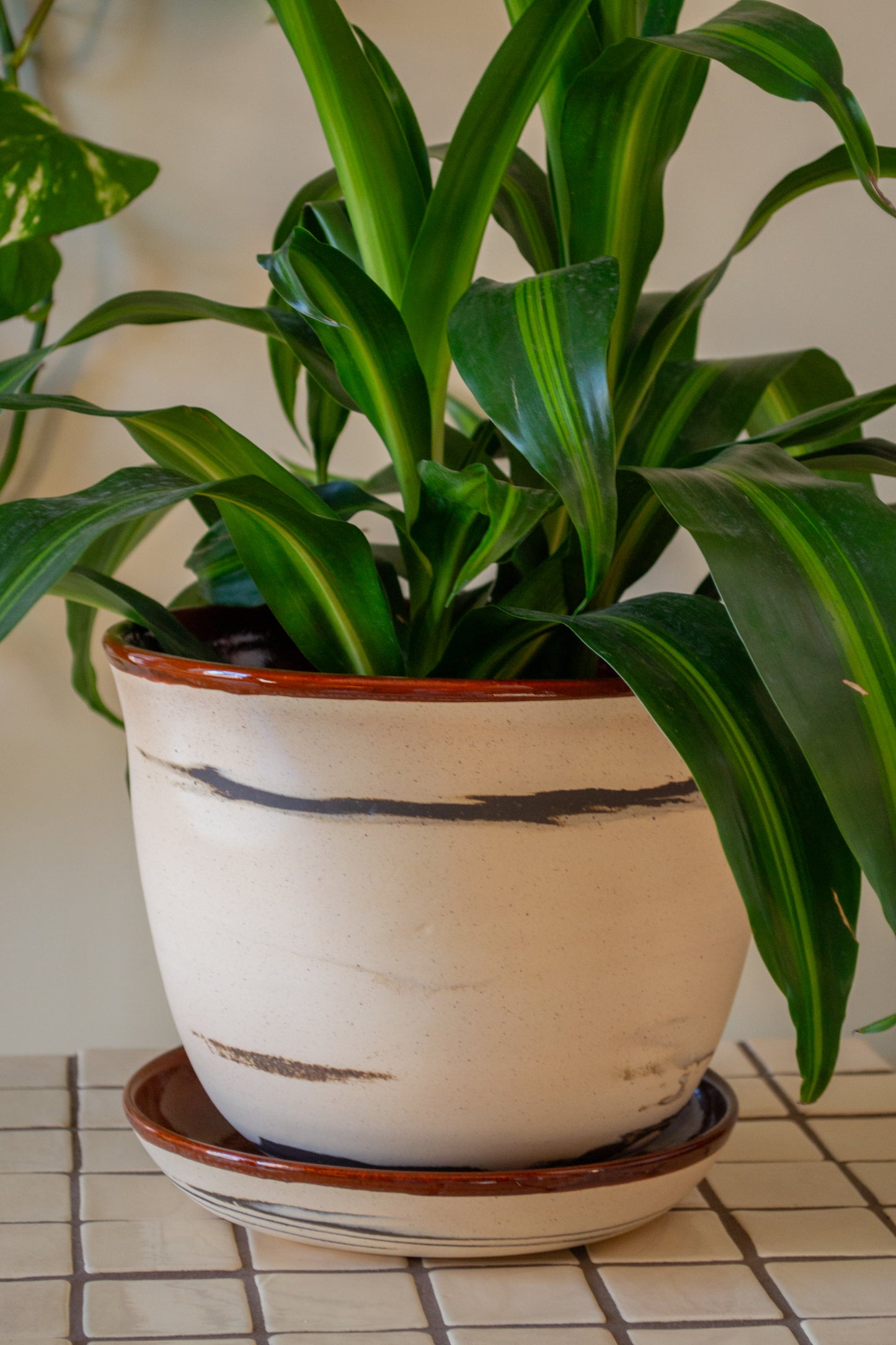 Planter with Drip Plate | 8 in. Diameter | Marbled/Rust | Zebra Collection