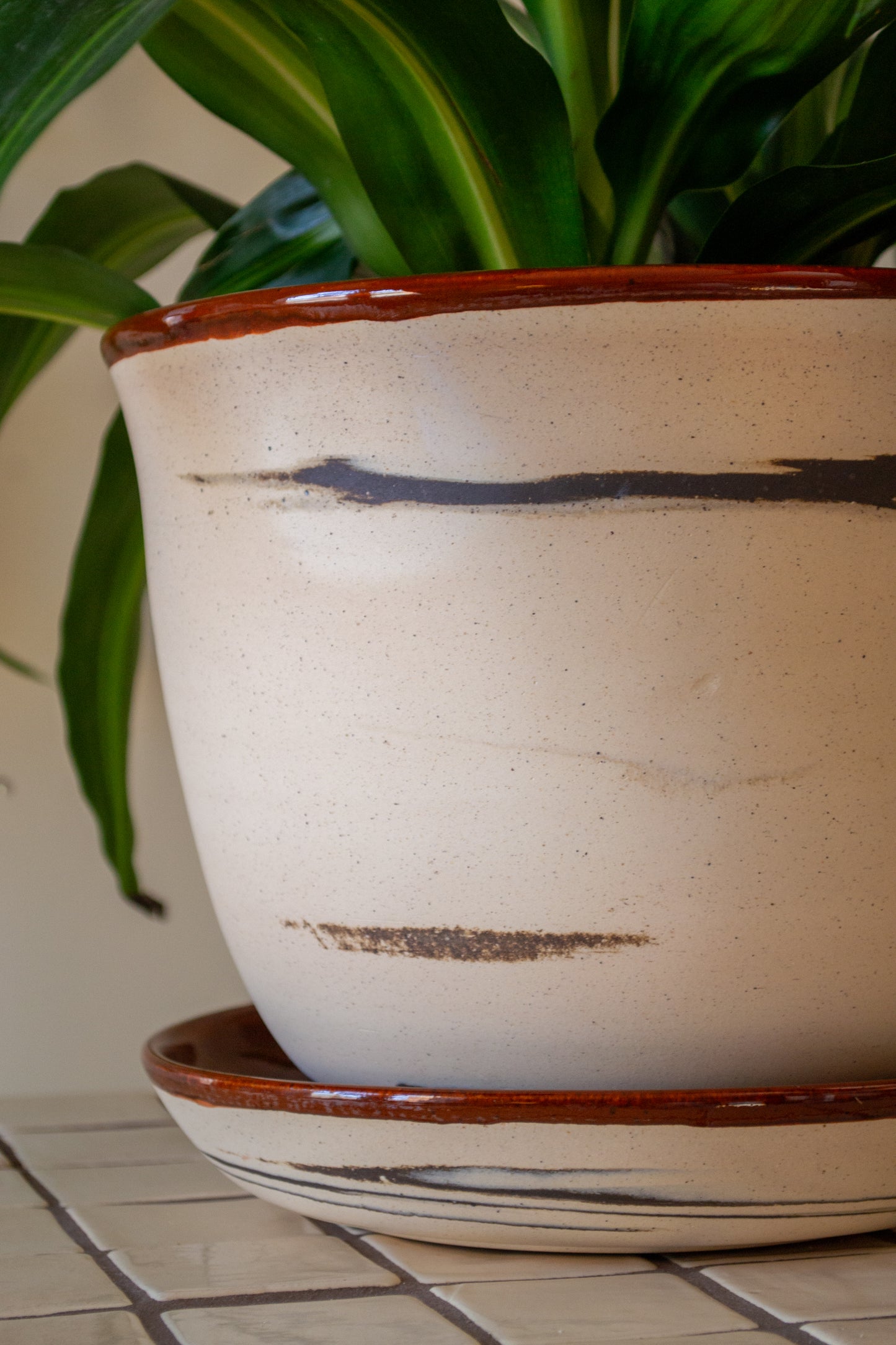 Planter with Drip Plate | 8 in. Diameter | Marbled/Rust | Zebra Collection