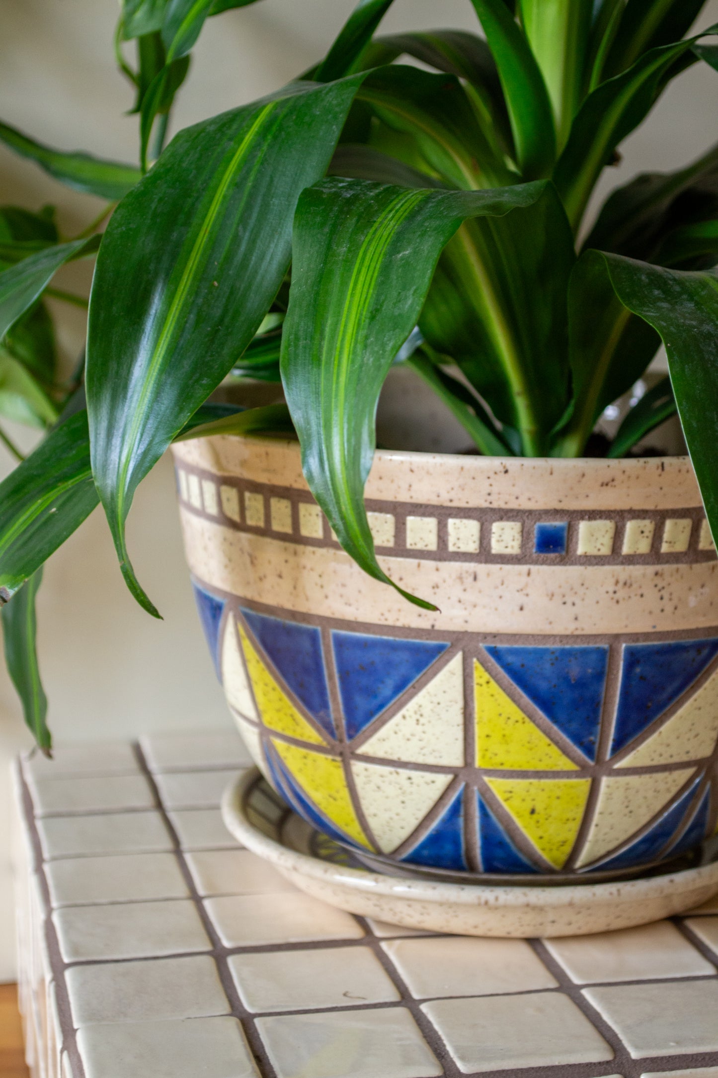Tiled Stoneware Planter with Drip Plate | 9 in. Diameter | Cream/Blue | Tile Collection