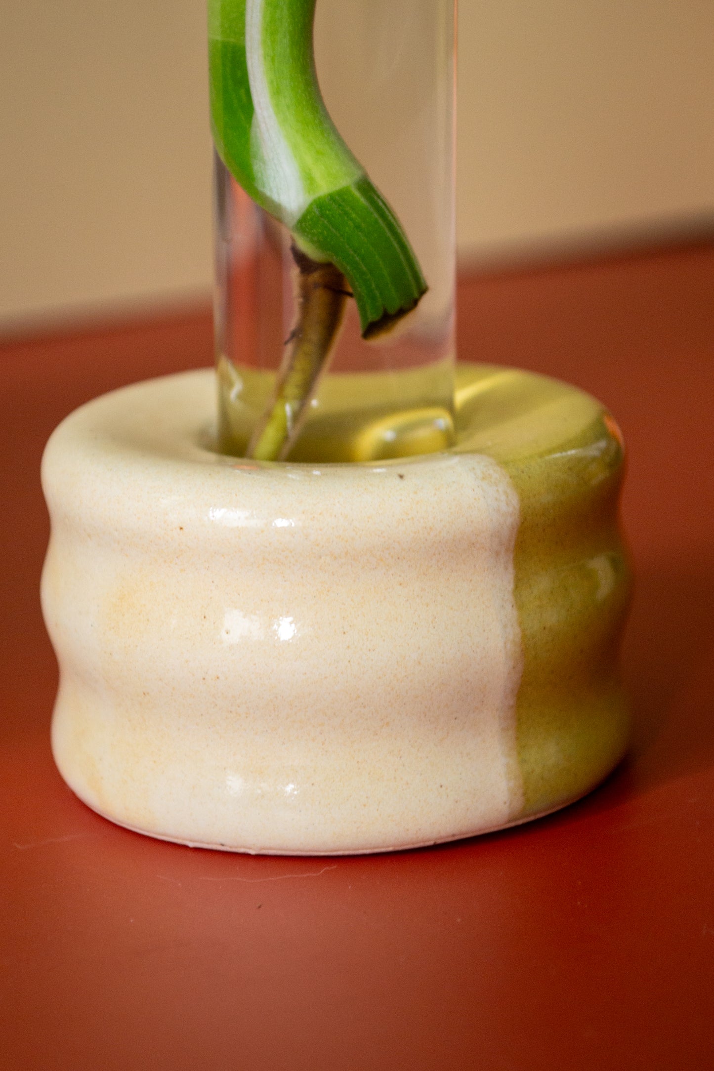 Propagation Stand with Test Tube