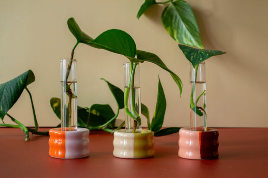 Propagation Stand with Test Tube