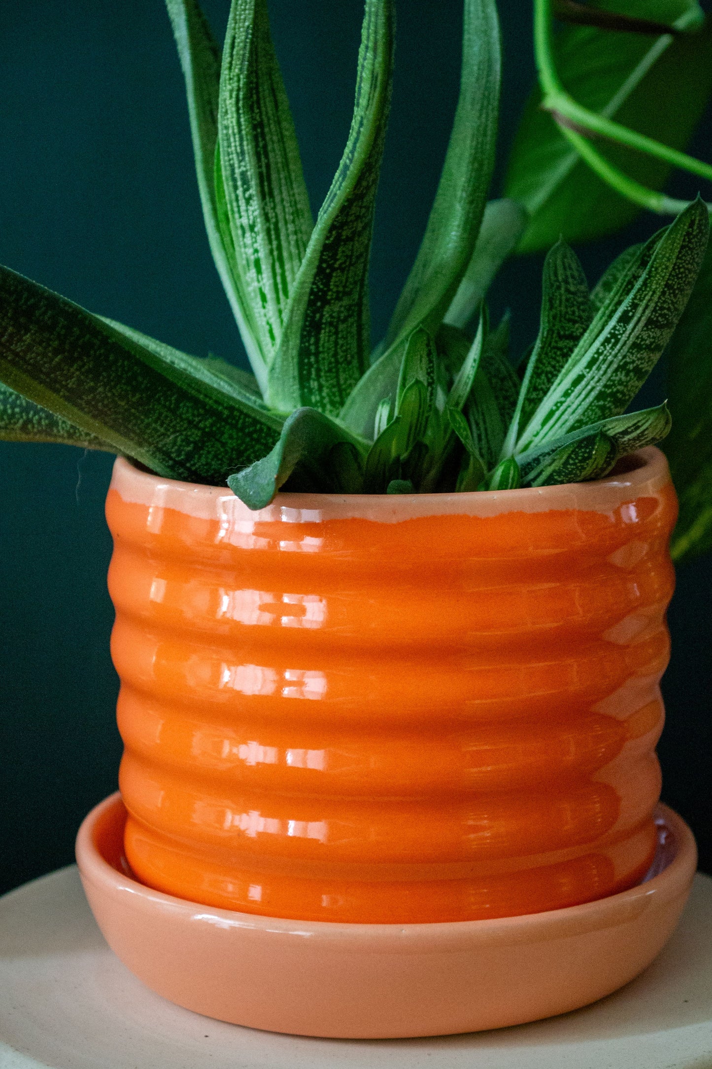 PREORDER: Peach/Orange Ceramic Ripple Pot Planter with Drip Plate - Ships May 3rd