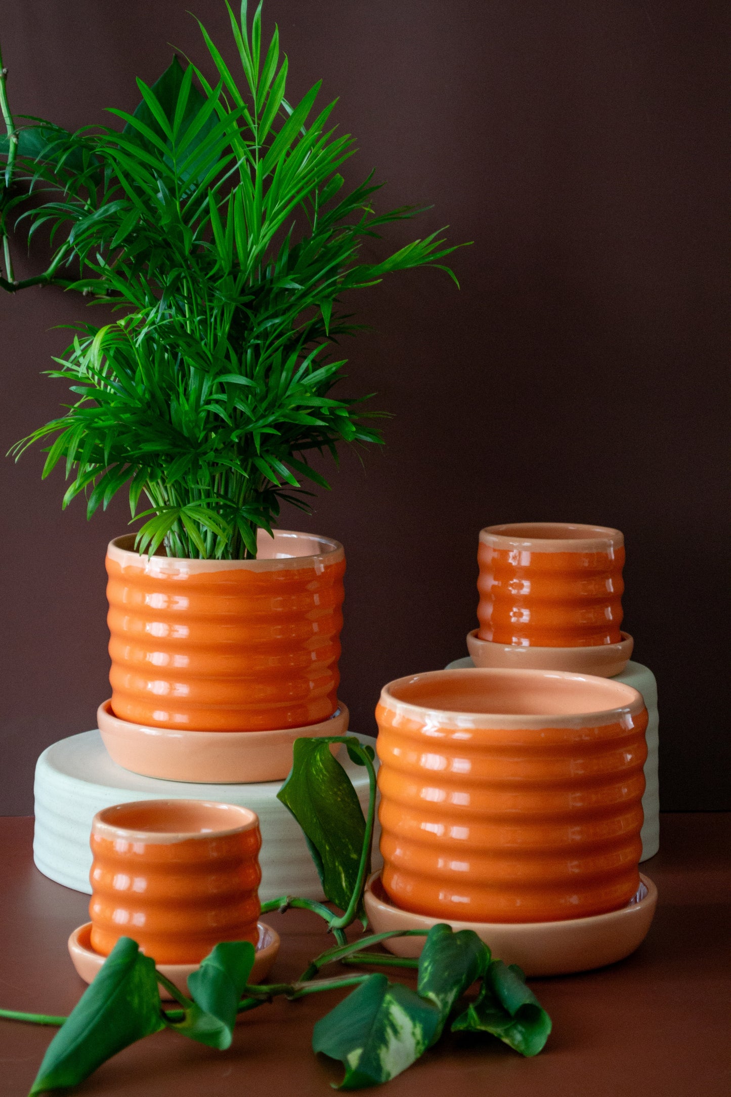 PREORDER: Peach/Orange Ceramic Ripple Pot Planter with Drip Plate - Ships May 3rd