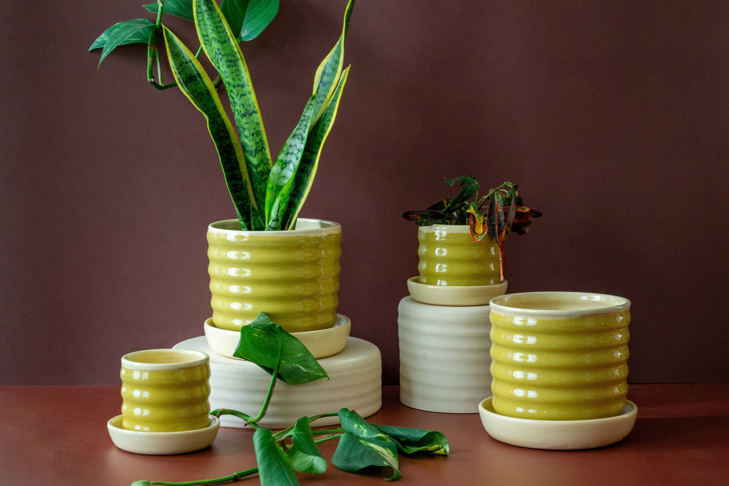 PREORDER: Yellow/Pear Ceramic Ripple Pot Planter with Drip Plate - Ships May 3rd