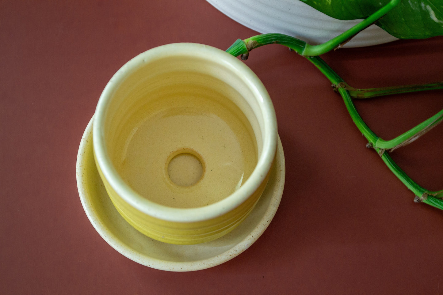 PREORDER: Yellow/Pear Ceramic Ripple Pot Planter with Drip Plate - Ships May 3rd