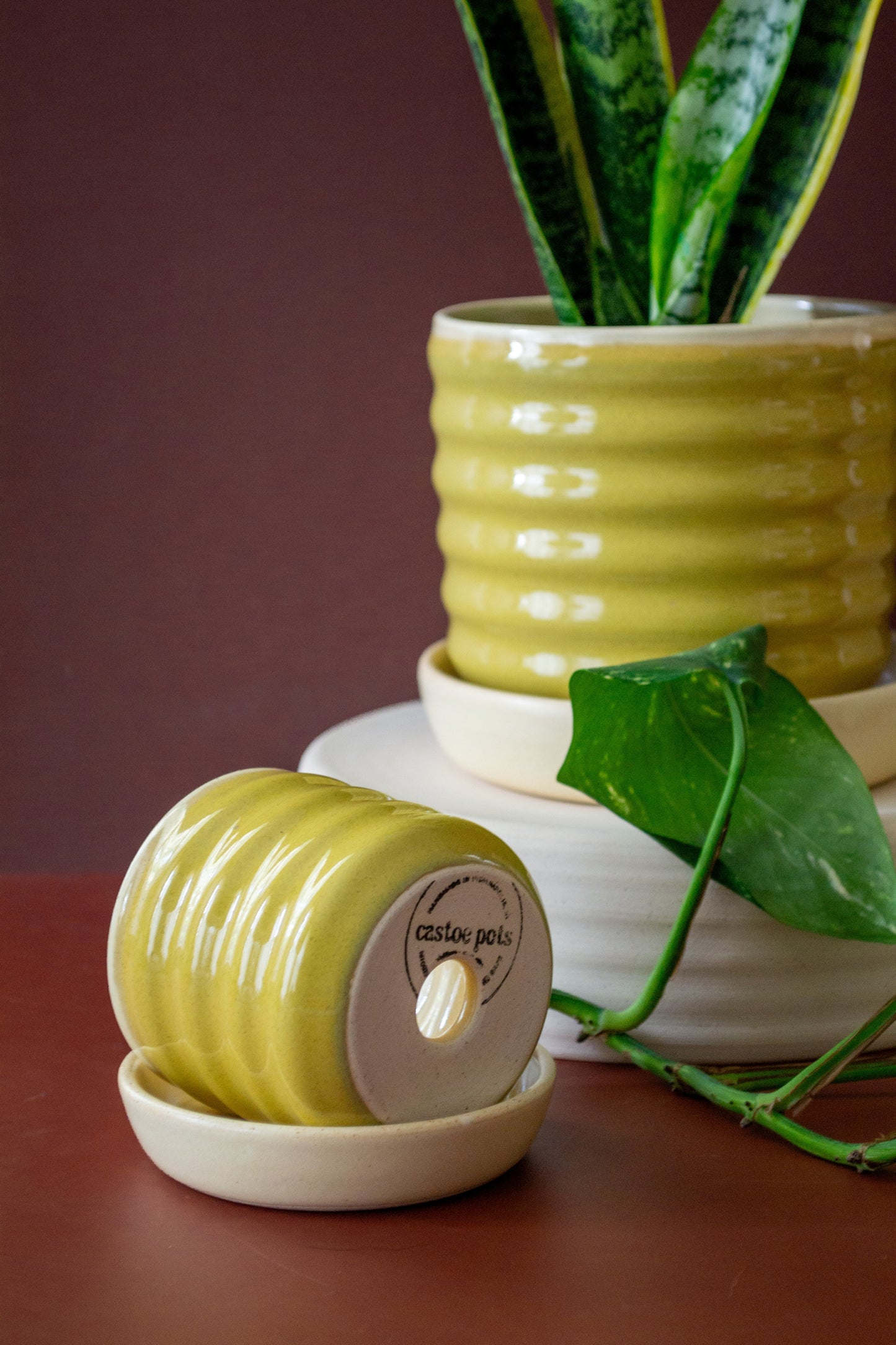 PREORDER: Yellow/Pear Ceramic Ripple Pot Planter with Drip Plate - Ships May 3rd