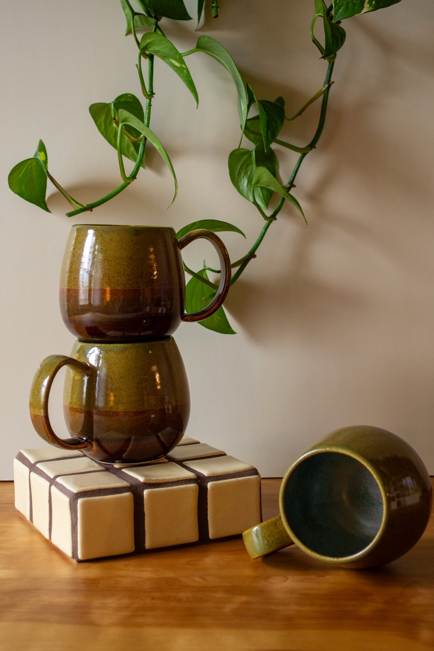 Earth Tones Mug | Approx. 16 oz.