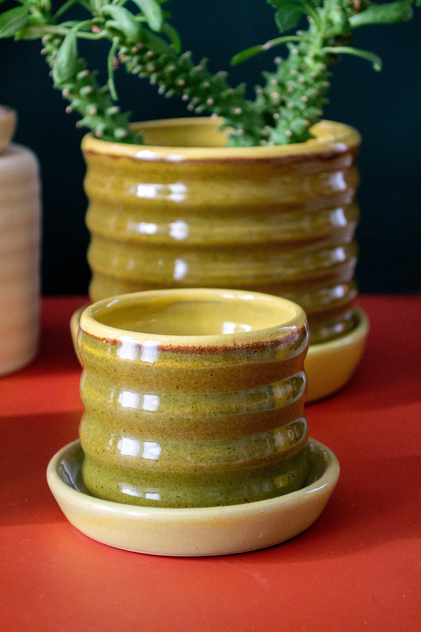 Ceramic Planter with Drip Plate | Castoe Pots Handmade Ripple Pots | Wavy Indoor Planter with Drainage Hole and Tray | Flower Pot