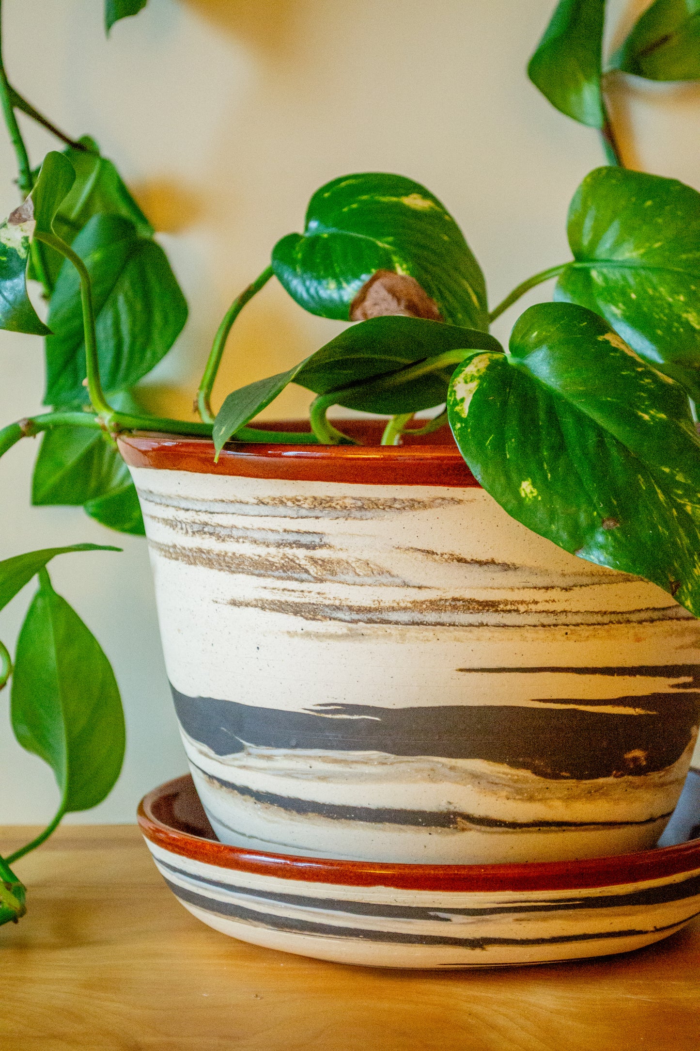 Marbled Planter with Drip Plate - 8 in diameter