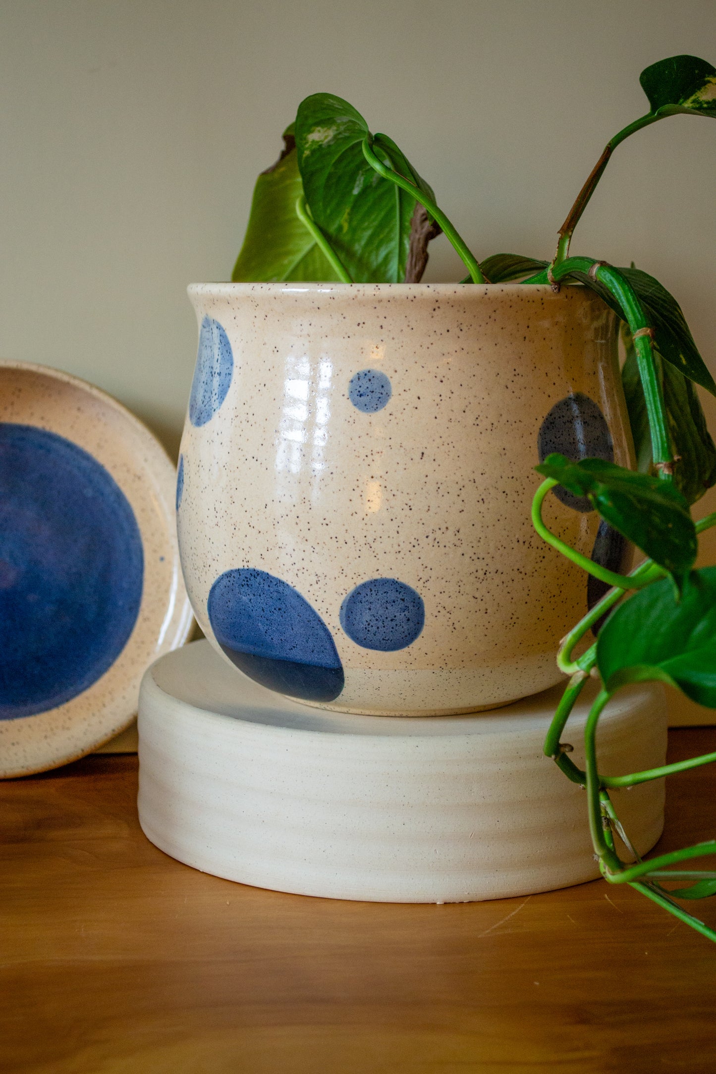 Blue Moon Planter with Drip Plate