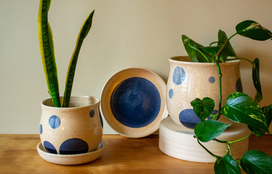 Blue Moon Planter with Drip Plate