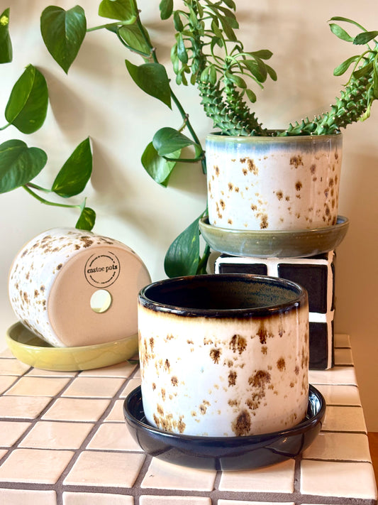 Speckled 5 in. Planter with Drip Plate - Appaloosa Collection