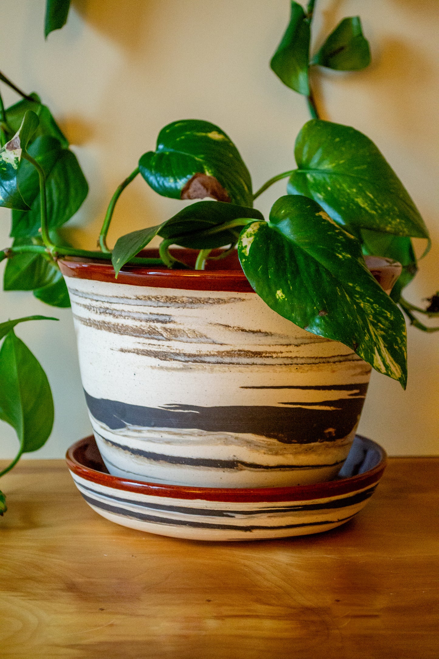 Marbled Planter with Drip Plate - 8 in diameter