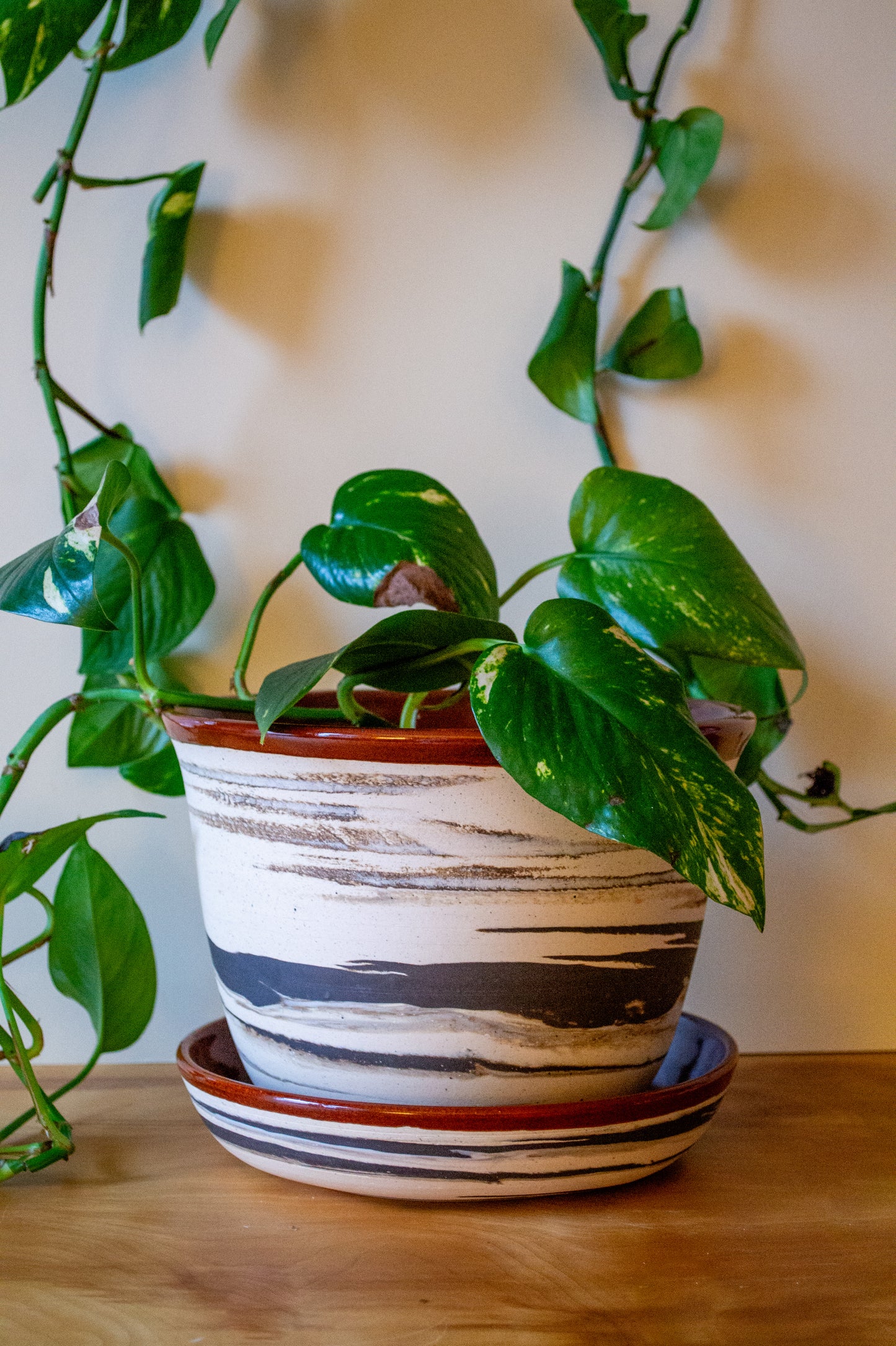 Marbled Planter with Drip Plate - 8 in diameter