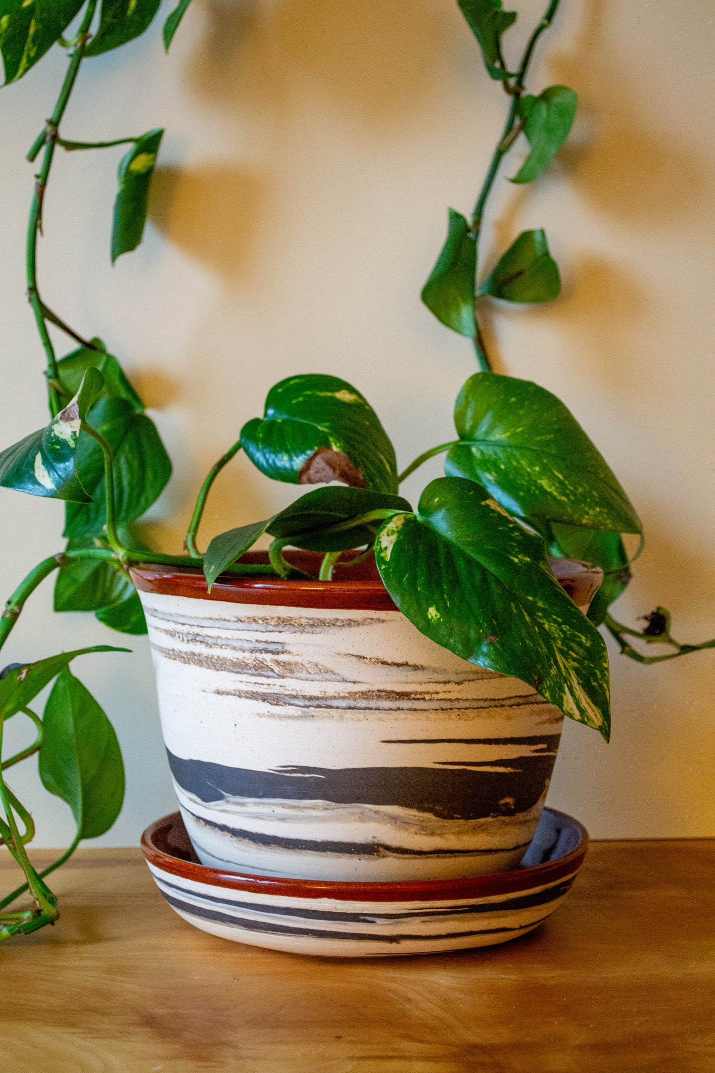 Marbled Planter with Drip Plate - 8 in diameter