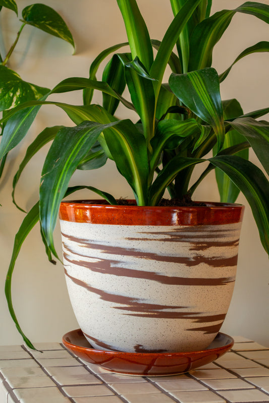 Planter with Drip Plate | 8 in. Diameter | Marbled/Rust