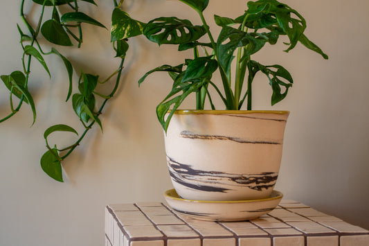 Planter with Drip Plate | 8 in. Diameter | Marbled/Pear | Zebra Collection