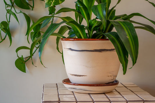 Planter with Drip Plate | 8 in. Diameter | Marbled/Rust | Zebra Collection