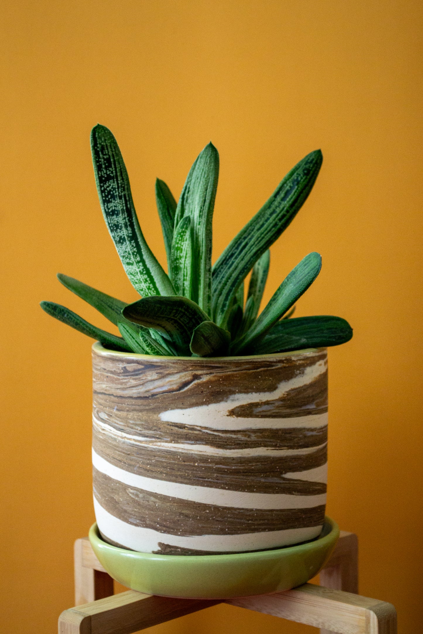 ZEBRA POTS Collection | Marbled Ceramic Planter with Drip Plate