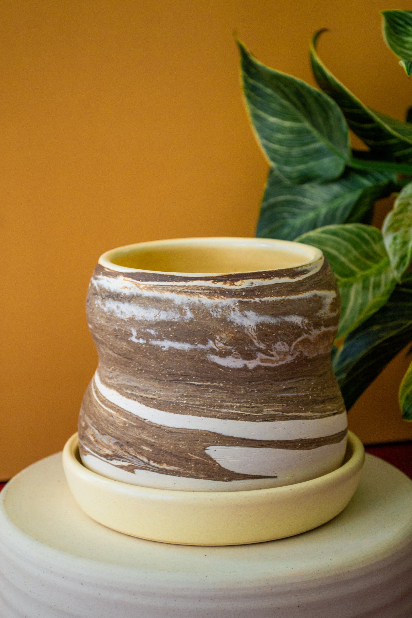 ZEBRA POTS Collection | Marbled Ceramic Planter with Drip Plate
