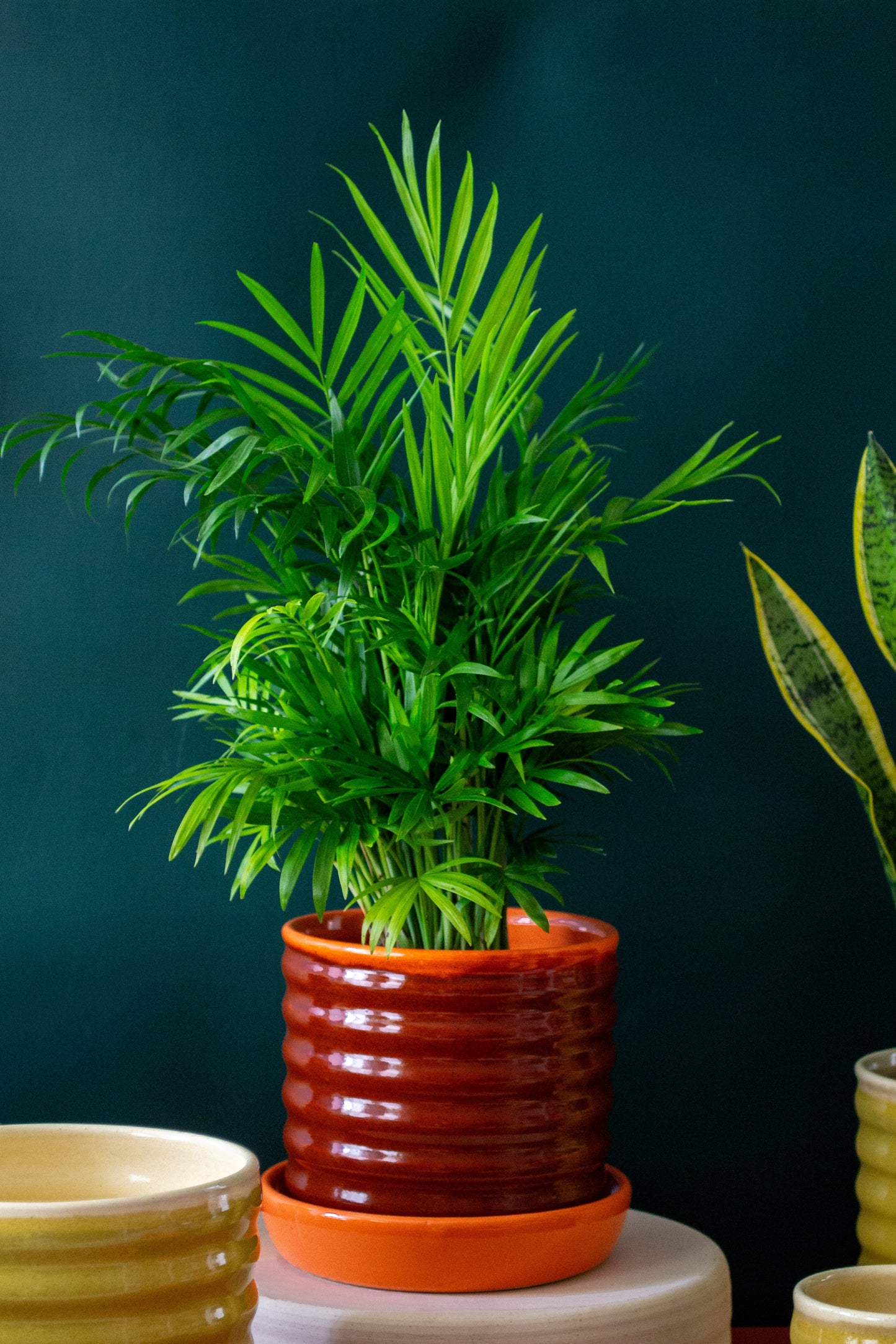 Orange/Rust Ceramic Ripple Pot Planter with Drip Plate