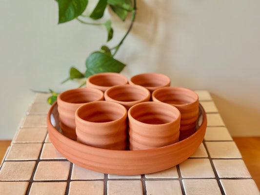 Seed Starting Tray: 8-Piece Terra Cotta Propagation Station